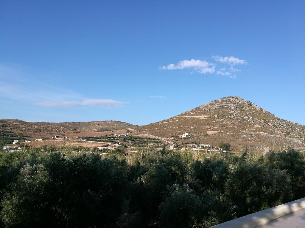 Naxos Olive & Apartment *