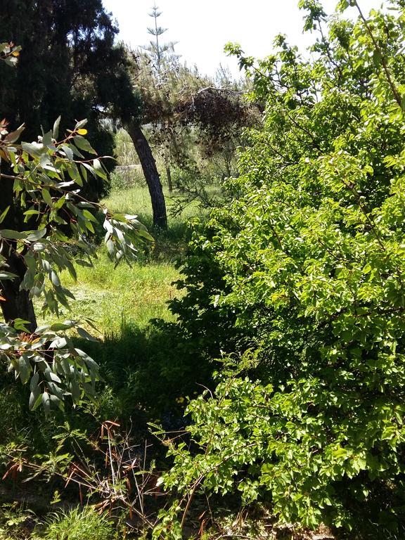 Naxos Olive & Apartment Engares