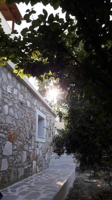 Naxos Olive & *