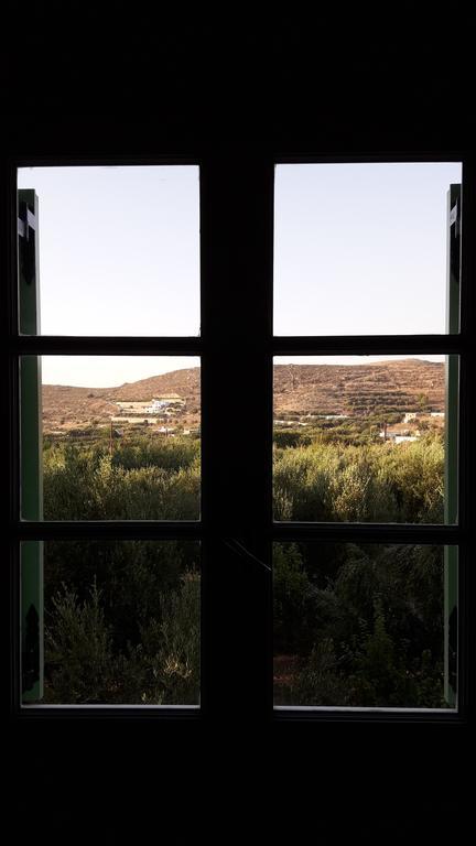 Naxos Olive & Apartment