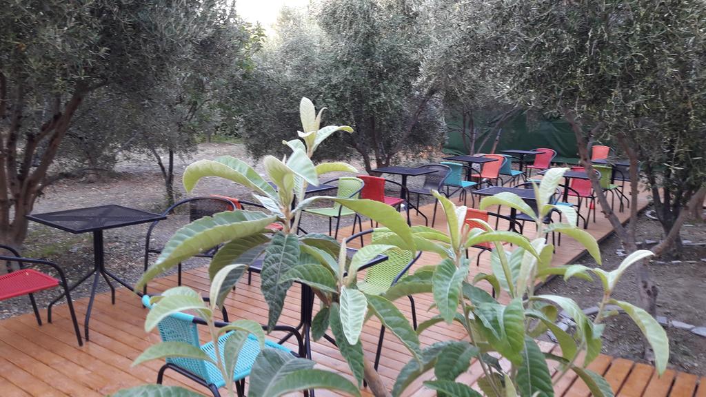 Naxos Olive & Apartment Engares
