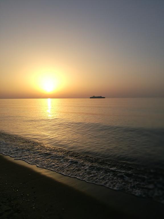Apartment Naxos Olive & Engares